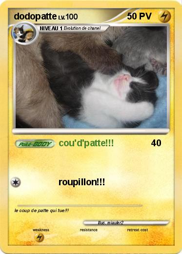 Pokemon dodopatte