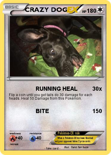Pokemon CRAZY DOG