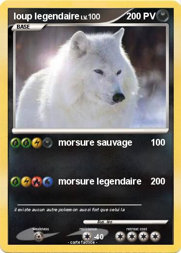 Pokemon loup legendaire