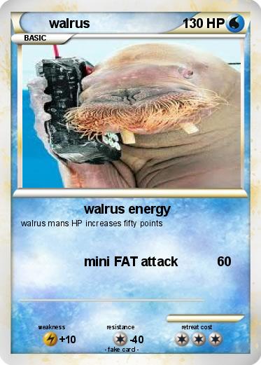 Pokemon walrus