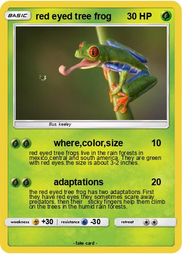 Pokemon red eyed tree frog