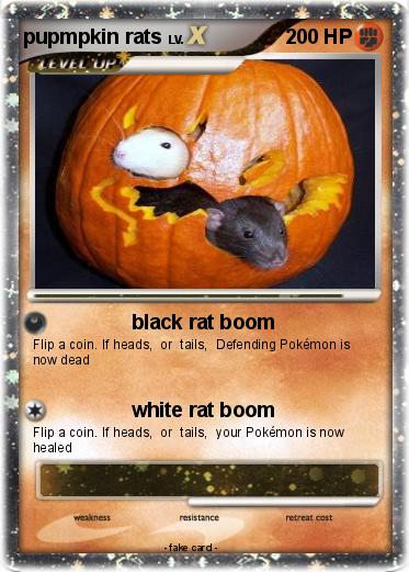 Pokemon pupmpkin rats