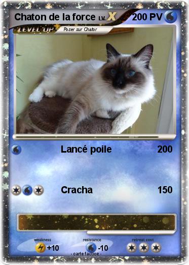 Pokemon Chaton de la force