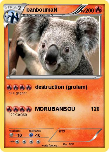 Pokemon banboumaN