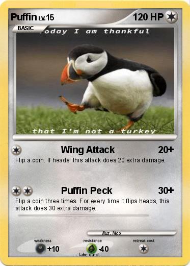 Pokemon Puffin