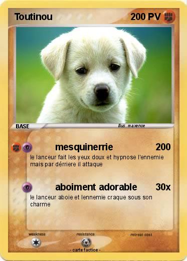 Pokemon Toutinou
