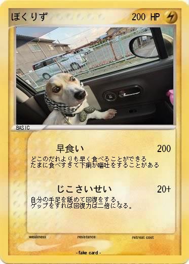 Pokemon ぼくりず