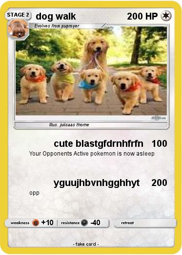 Pokemon dog walk