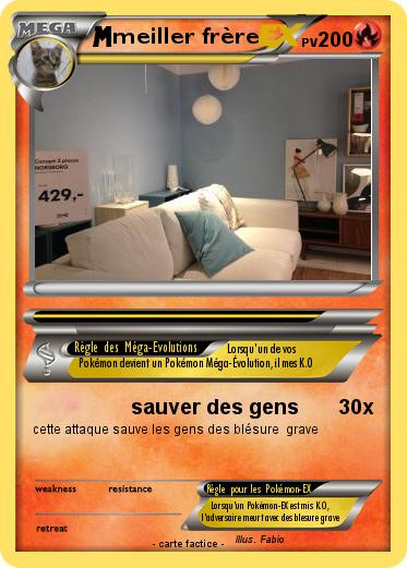 Pokemon meiller frère