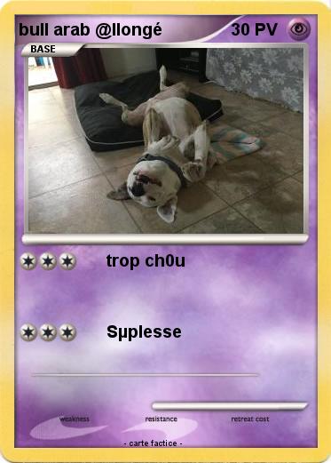 Pokemon bull arab @llongé
