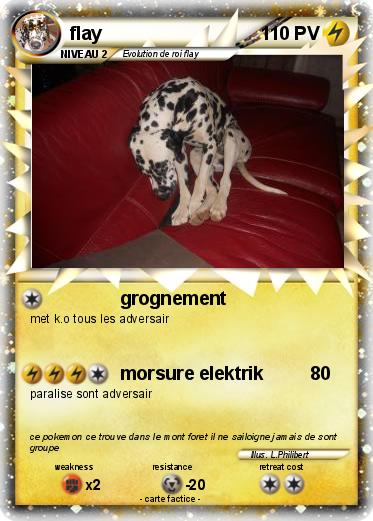 Pokemon flay