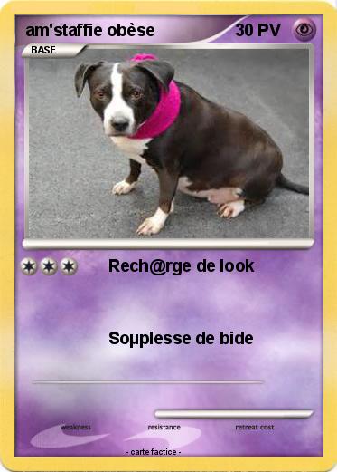 Pokemon am'staffie obèse