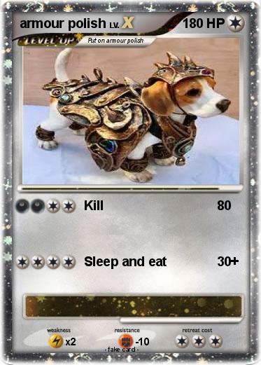 Pokemon armour polish