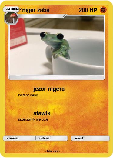 Pokemon niger zaba