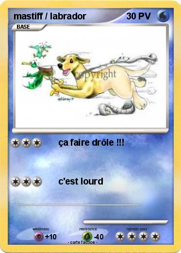 Pokemon mastiff / labrador