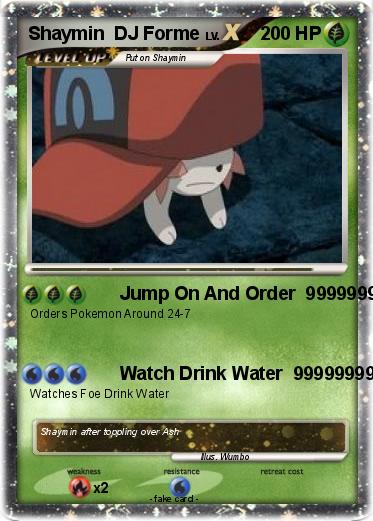 Pokemon Shaymin  DJ Forme
