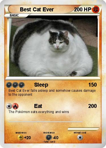 Pokemon Best Cat Ever