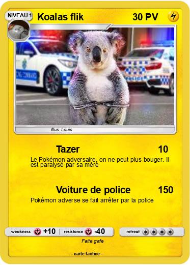 Pokemon Koalas flik