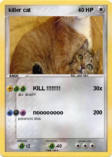 Pokemon killer cat