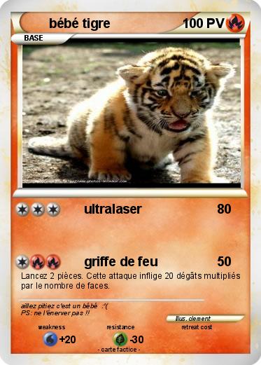 Pokemon bébé tigre