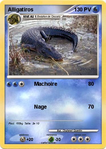 Pokemon Alligatiros