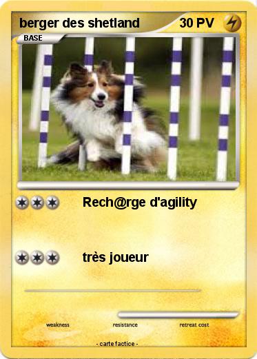 Pokemon berger des shetland