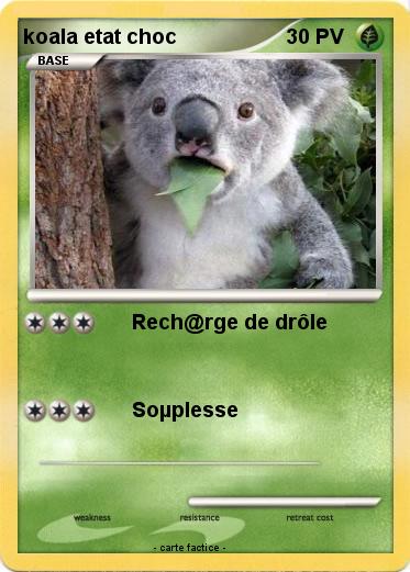 Pokemon koala etat choc