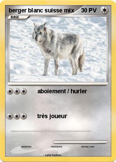 Pokemon berger blanc suisse mix