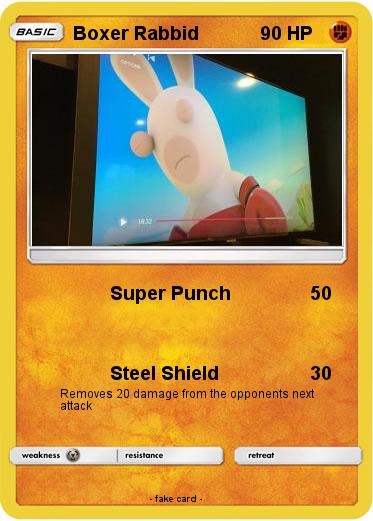 Pokemon Boxer Rabbid