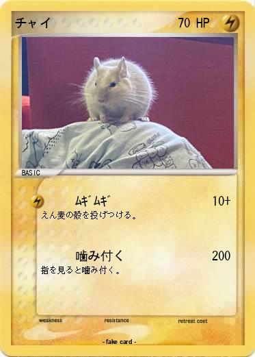 Pokemon チャイ