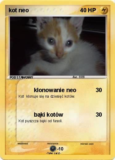 Pokemon kot neo