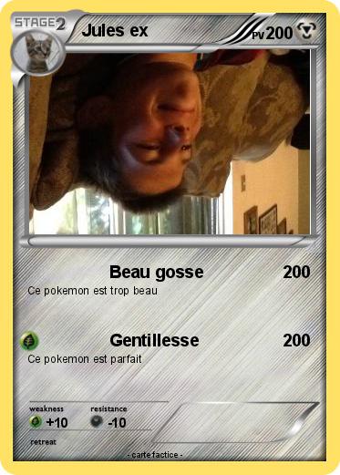 Pokemon Jules ex
