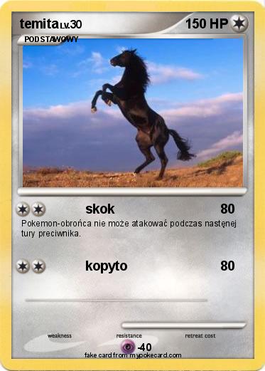 Pokemon temita