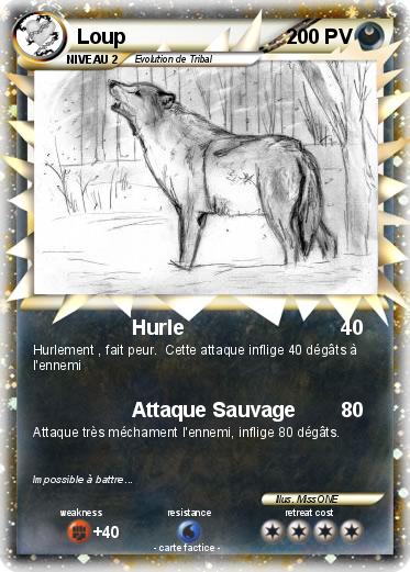 Pokemon Loup