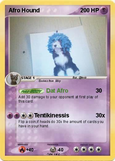 Pokemon Afro Hound