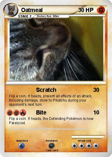 Pokemon Oatmeal