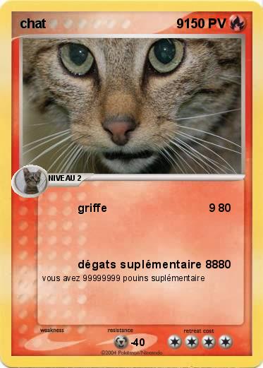 Pokemon chat                                    9