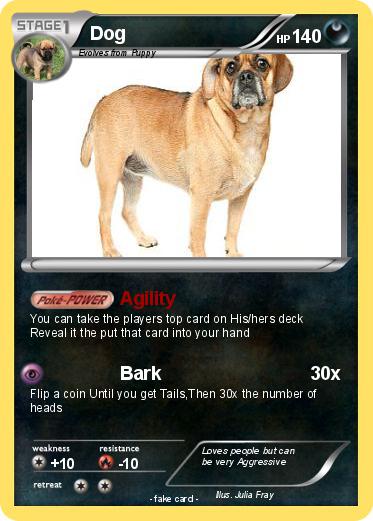 Pokemon Dog