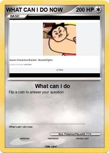 Pokemon WHAT CAN I DO NOW