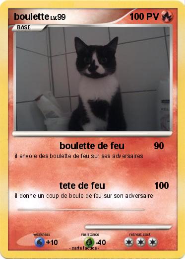 Pokemon boulette