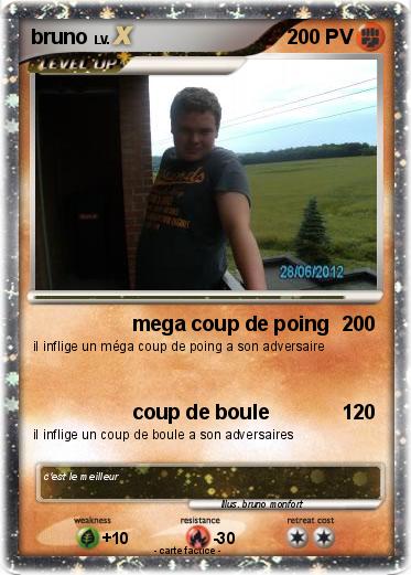 Pokemon bruno