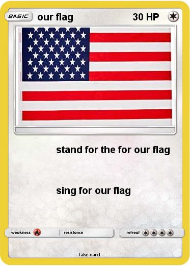 Pokemon our flag