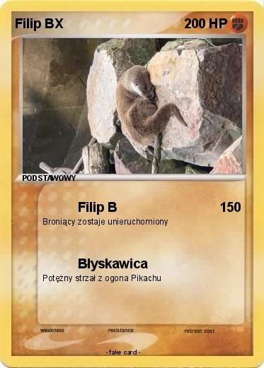 Pokemon Filip BX