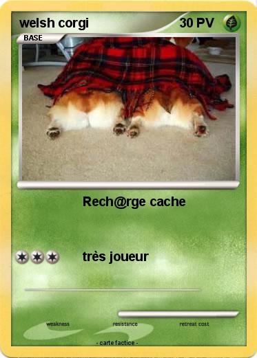 Pokemon welsh corgi