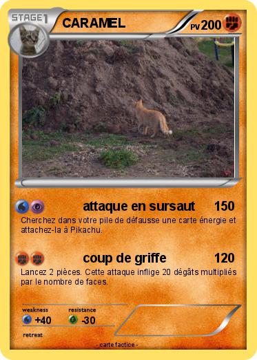 Pokemon CARAMEL