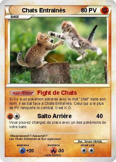 Pokemon Chats Entraînés