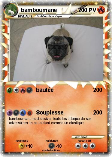 Pokemon bamboumane