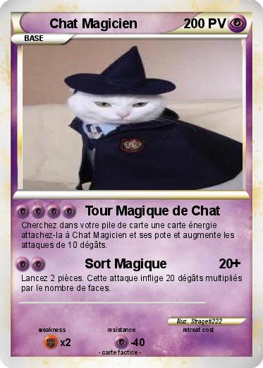 Pokemon Chat Magicien