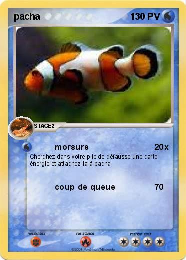 Pokemon pacha