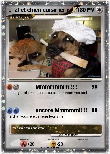 Pokemon chat et chien cuisinier